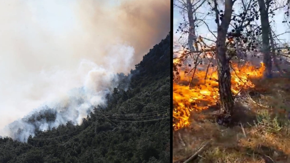 Antalya'da orman yangını! Rüzgarın etkisiyle hızla büyüdü