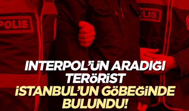 Interpol'un her yerde aradığı terörist İstanbul'un göbeğinde bulundu!