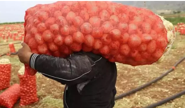 Patates ve soğana '30 kilogram' standardı